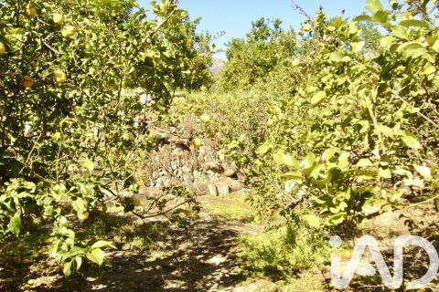 Terreno in vendita a Polop, Alicante, Spagna 1900 mq. N° 185286 - foto 4