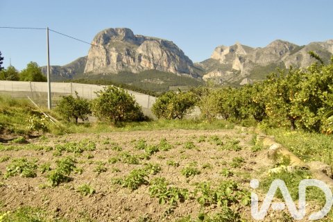 Terreno in vendita a Polop, Alicante, Spagna 1900 mq. N° 185286 - foto 6