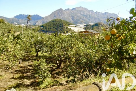 Terreno in vendita a Polop, Alicante, Spagna 1900 mq. N° 185286 - foto 7
