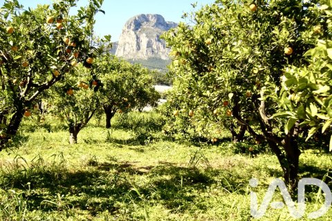 Terreno in vendita a Polop, Alicante, Spagna 1900 mq. N° 185286 - foto 5