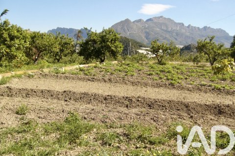 Terreno a Polop, Alicante, Spagna 1900 mq. N° 185286