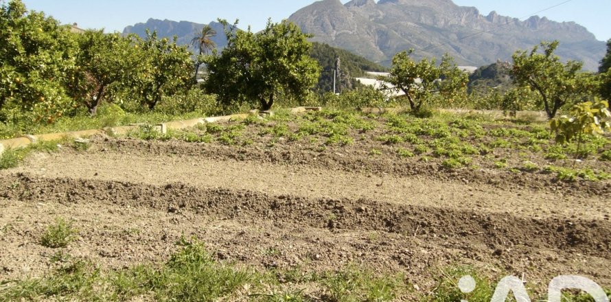 Terreno a Polop, Alicante, Spagna 1900 mq. N° 185286