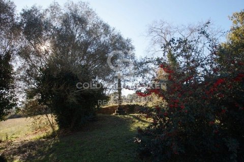 Сasa en venta en Gerona, España 10 dormitorios, 1000 m2 No. 160403 - foto 25