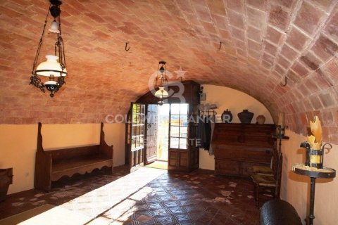 Сasa en venta en Gerona, España 10 dormitorios, 1000 m2 No. 160403 - foto 14