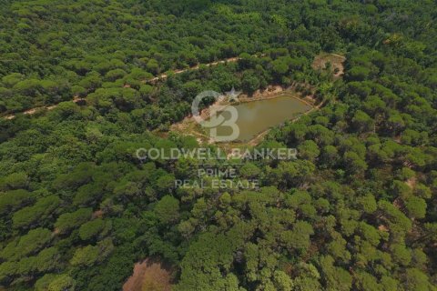 House à vendre à Caldes de Malavella, Girona, Espagne, 10 chambres, 1000 m2 No. 160401 - photo 26