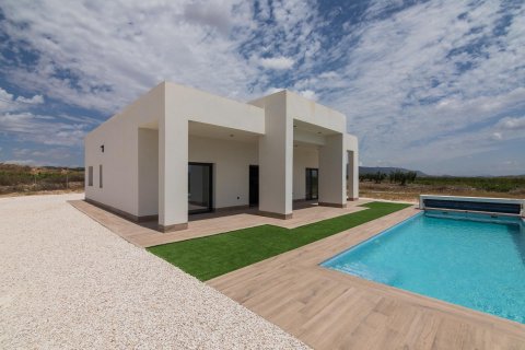 Villa en venta Pinoso, Alicante, España 3 dormitorios, 152 m2 No. 112785 - foto 3
