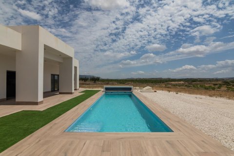 Villa en venta Pinoso, Alicante, España 3 dormitorios, 152 m2 No. 112785 - foto 4