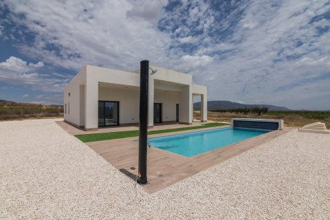 Villa en venta Pinoso, Alicante, España 3 dormitorios, 152 m2 No. 112785 - foto 2
