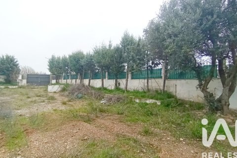 Działka w Meco, Madrid, Hiszpania 643 mkw. nr 172999 – zdjęcie 3
