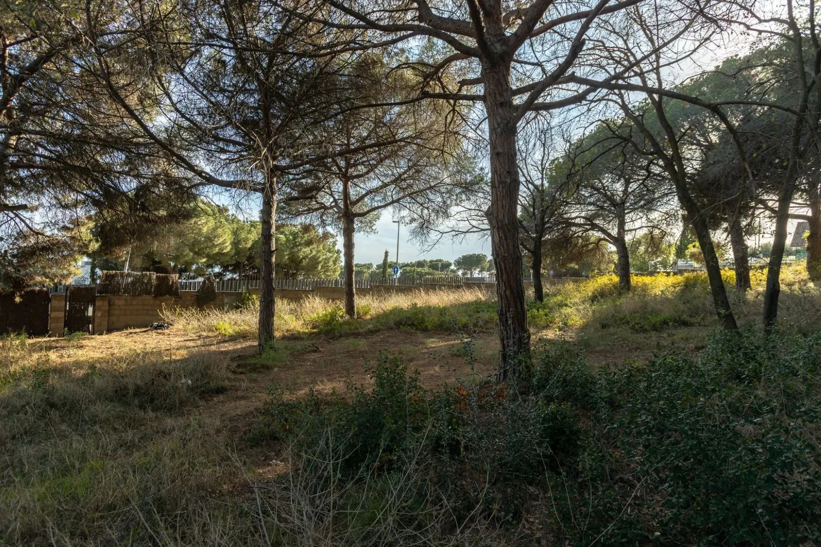 Land in Mataro, Barcelona, Spanien Nr. 141299
