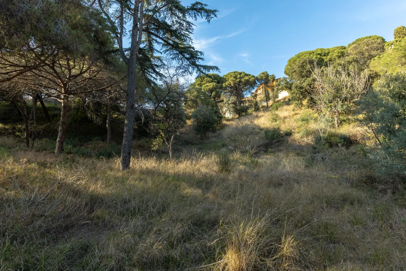 Land in Mataro, Barcelona, Spanien Nr. 141299
