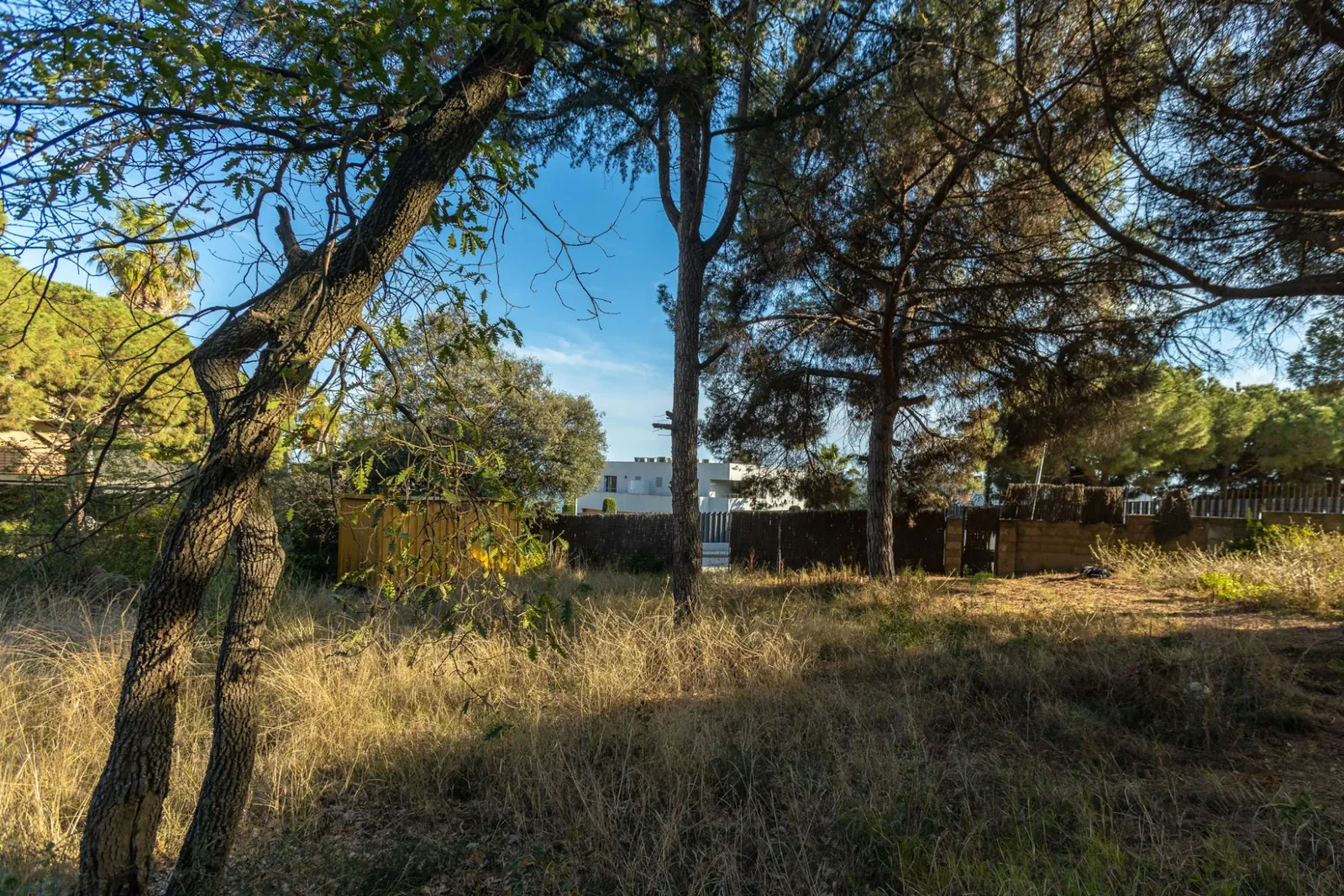 Land in Mataro, Barcelona, Spanien Nr. 141299