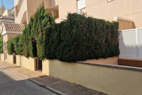 Huoneisto myytävänä Denia, Alicante, Espanja, 2 makuuhuonetta,  No. 154820 - kuva 21