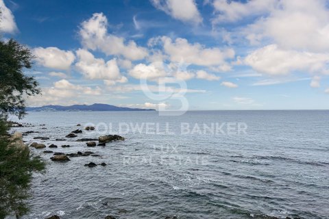 Kahvila / Ravintola myytävänä L'Escala, Girona, Espanja , 243 m2 No. 160272 - kuva 8