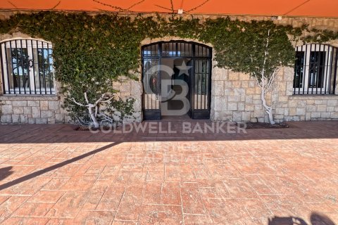 House zum Verkauf in Barcelona, Spanien 8 Schlafzimmer, 950 m2 Nr. 160275 - Foto 22