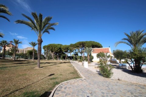 Bungalow for sale in Torrevieja, Alicante, Spain 1 bedroom, 50 sq.m. No. 183063 - photo 15