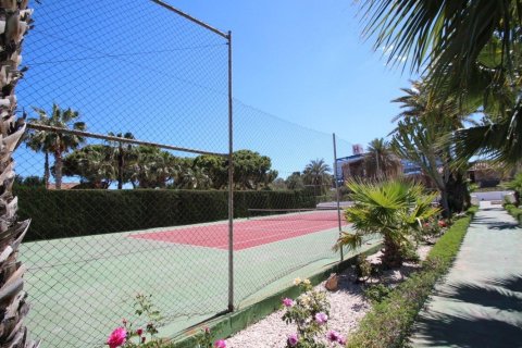 Bungalow for sale in Torrevieja, Alicante, Spain 1 bedroom, 50 sq.m. No. 183063 - photo 14