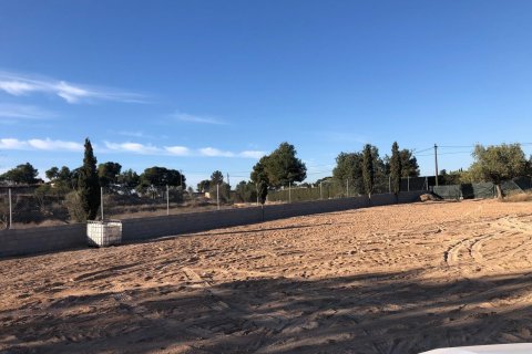 Land plot for sale in San Vicente del Raspeig, Alicante, Spain No. 183065 - photo 5