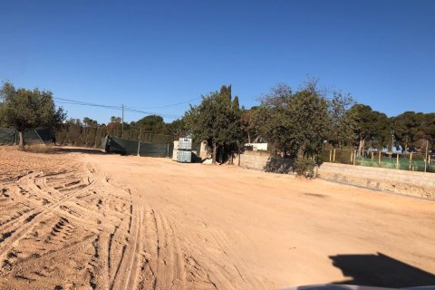 Land plot for sale in San Vicente del Raspeig, Alicante, Spain No. 183065 - photo 4