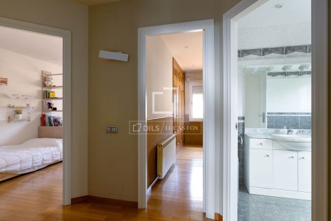 Villa for sale in Cabrils, Barcelona, Spain 5 bedrooms, 501 sq.m. No. 150388 - photo 28