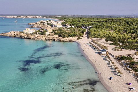 Villa à vendre à Mallorca, Espagne, 5 chambres, 300 m2 No. 148078 - photo 9