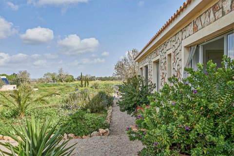 Villa à vendre à Mallorca, Espagne, 5 chambres, 300 m2 No. 148078 - photo 14