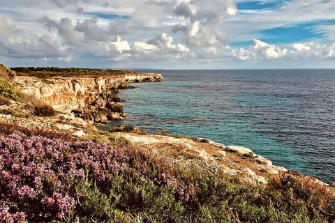 Villa à vendre à Mallorca, Espagne, 5 chambres, 300 m2 No. 148078 - photo 11