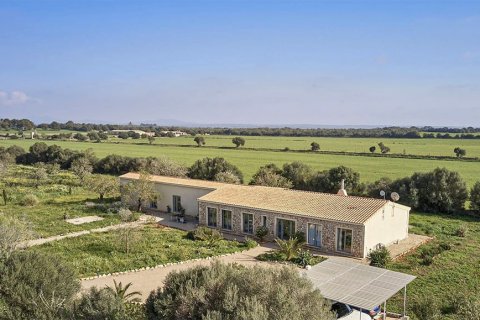 Villa à vendre à Mallorca, Espagne, 5 chambres, 300 m2 No. 148078 - photo 7