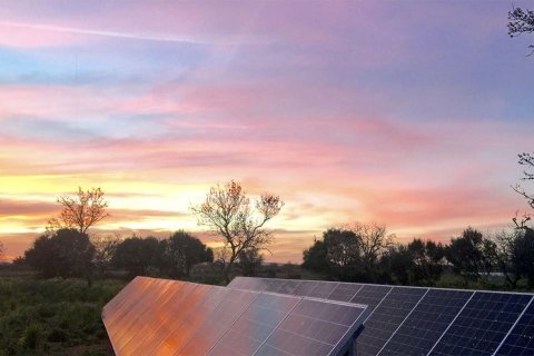 Villa à vendre à Mallorca, Espagne, 5 chambres, 300 m2 No. 148078 - photo 5