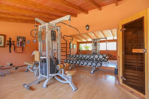 Villa for sale in Mallorca, Spain 4 bedrooms, 536 sq.m. No. 148079 - photo 26