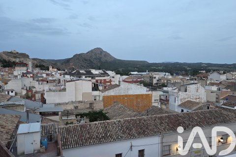 Commercial property for sale in Calasparra, Murcia, Spain No. 172185 - photo 15