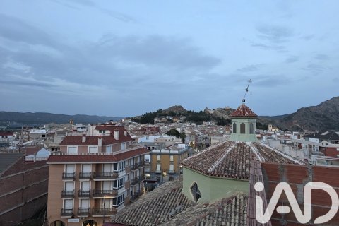 Commercial property for sale in Calasparra, Murcia, Spain No. 172185 - photo 17