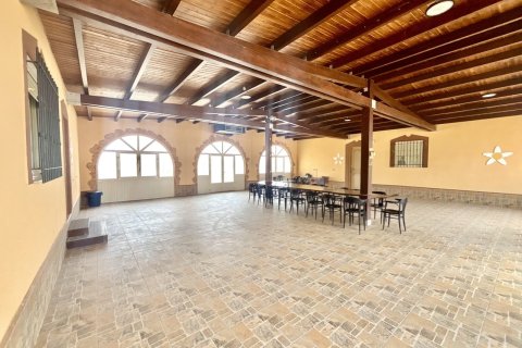 Villa pārdošanā Fuente Alamo, Murcia, Spānijā 6 istabas, 558 m2 Nr. 189837 - attēls 5