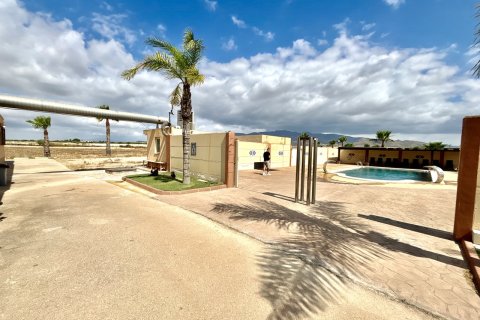 Villa pārdošanā Fuente Alamo, Murcia, Spānijā 6 istabas, 558 m2 Nr. 189837 - attēls 23