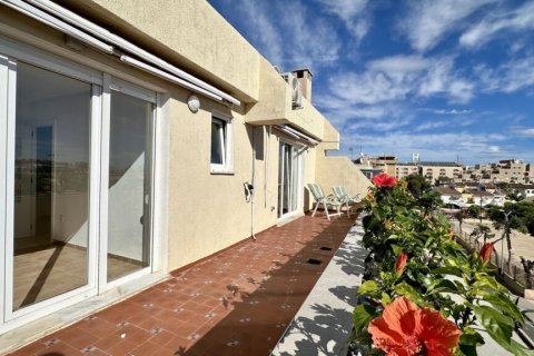 Apartament Punta Prima, Alicante, Hiszpania 2 sypialnie, 85 mkw. nr 140042 – zdjęcie 15
