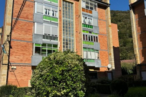 Lägenhet till salu i Aller, Asturias, Spanien 55 kvm. Nr. 182830 - foto 17