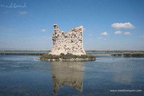 Продажа квартиры в Санта-Пола, Аликанте, Испания 3 спальни, 296.65м2 №151222 - фото 14