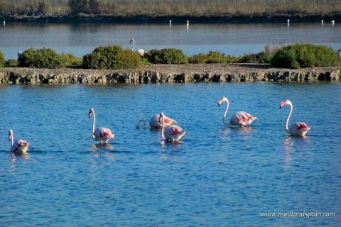 Продажа квартиры в Санта-Пола, Аликанте, Испания 3 спальни, 296.65м2 №151222 - фото 7