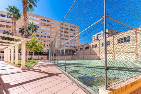 Продажа квартиры в Аликанте, Испания 3 спальни, 95м2 №180106 - фото 11