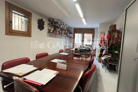 Büro zur Miete in Principado De Andorra (Ninguna Poblacion Tiene C.P.), Lleida, Spanien 232 m2 Nr. 160505 - Foto 4
