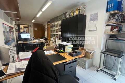 Büro zur Miete in Principado De Andorra (Ninguna Poblacion Tiene C.P.), Lleida, Spanien 232 m2 Nr. 160505 - Foto 9
