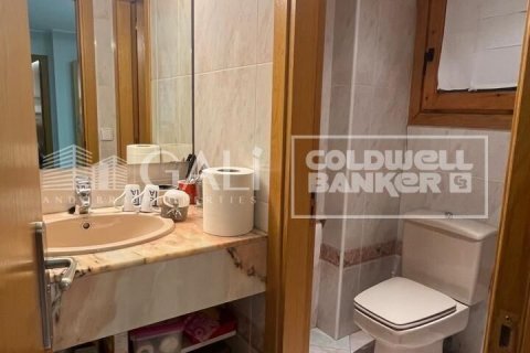Büro zur Miete in Principado De Andorra (Ninguna Poblacion Tiene C.P.), Lleida, Spanien 232 m2 Nr. 160505 - Foto 20