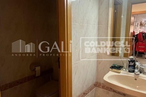 Büro zur Miete in Principado De Andorra (Ninguna Poblacion Tiene C.P.), Lleida, Spanien 232 m2 Nr. 160505 - Foto 21