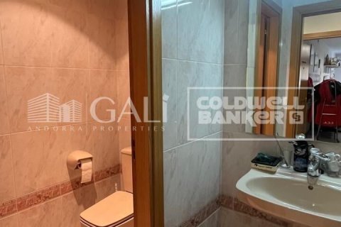 Büro zur Miete in Principado De Andorra (Ninguna Poblacion Tiene C.P.), Lleida, Spanien 232 m2 Nr. 160505 - Foto 22