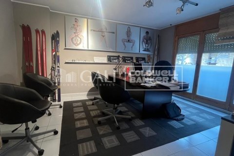 Büro zur Miete in Principado De Andorra (Ninguna Poblacion Tiene C.P.), Lleida, Spanien 232 m2 Nr. 160505 - Foto 2