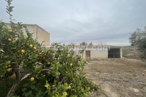 House for sale in Albox, Almeria, Spain 3 bedrooms, 120 sq.m. No. 184048 - photo 15