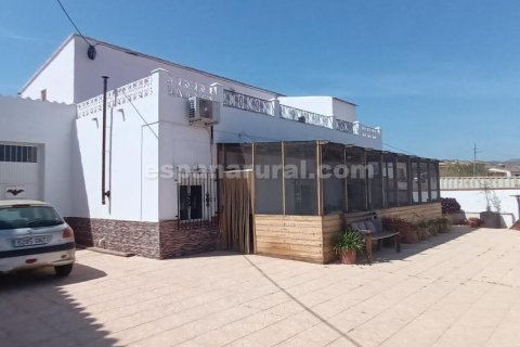 House in Huercal-Overa, Almeria, Spain 5 bedrooms, 260 sq.m. No. 184045