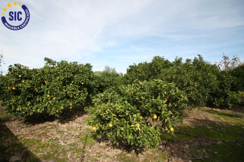 Willa w Godelleta, Valencia, Hiszpania 3 sypialnie, 60 mkw. nr 146319 – zdjęcie 27