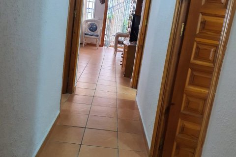 Bungalow w La Mata, Alicante, Hiszpania 3 sypialnie, 233 mkw. nr 146321 – zdjęcie 26
