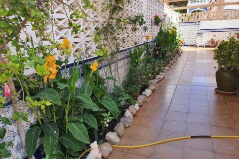 Bungalow w La Mata, Alicante, Hiszpania 3 sypialnie, 233 mkw. nr 146321 – zdjęcie 2